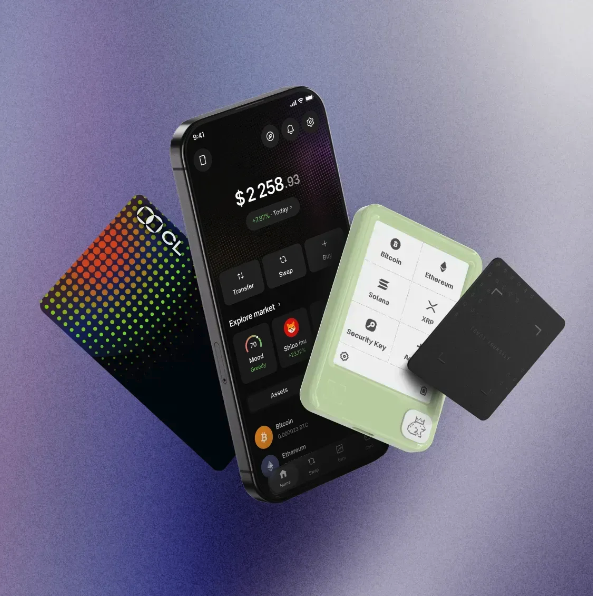 What Happens If I Lose My Ledger Nano X? Recovery Steps Explained